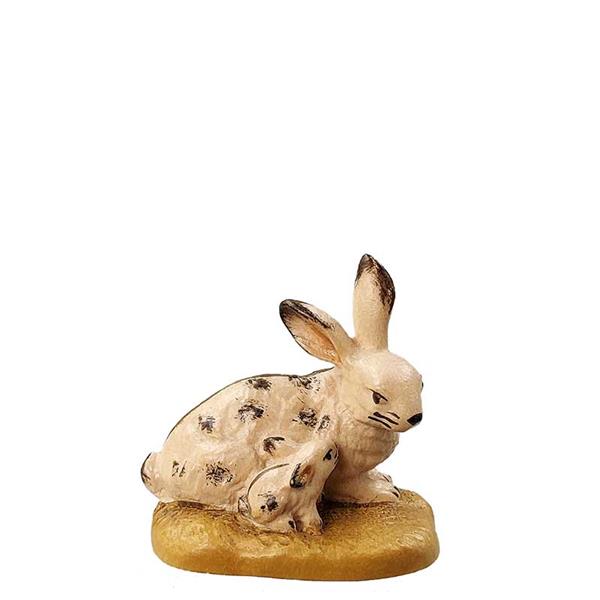 Hase Hase