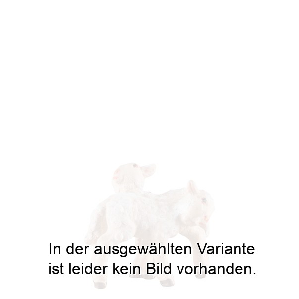 Lämmergruppe stehend