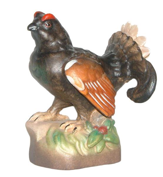 Birkhuhn Birkhuhn