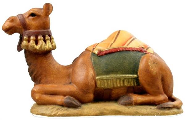 Kamel liegend Kamel liegend