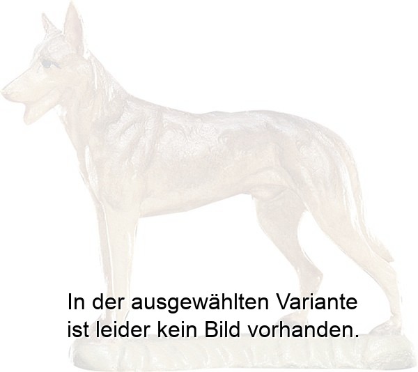 Schäferhund