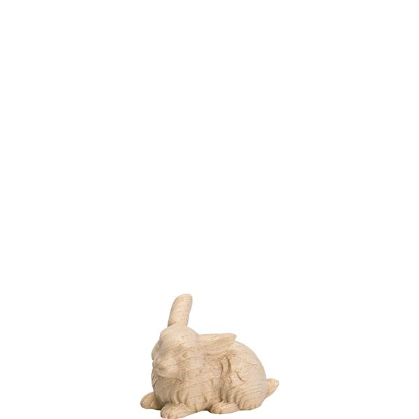 Hase hockend Hase hockend