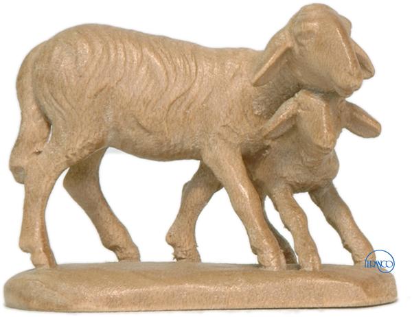 Schafgruppe stehend Schafgruppe stehend