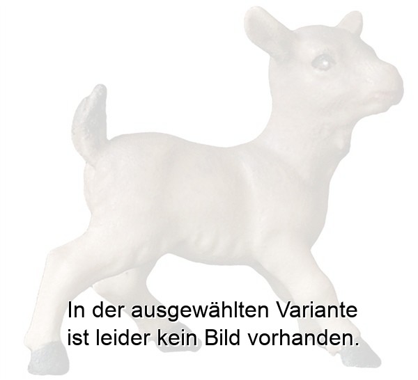 Ziegenkitz Ziegenkitz