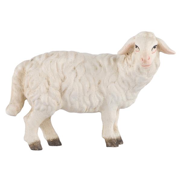 Schaf stehend rechtsschauend