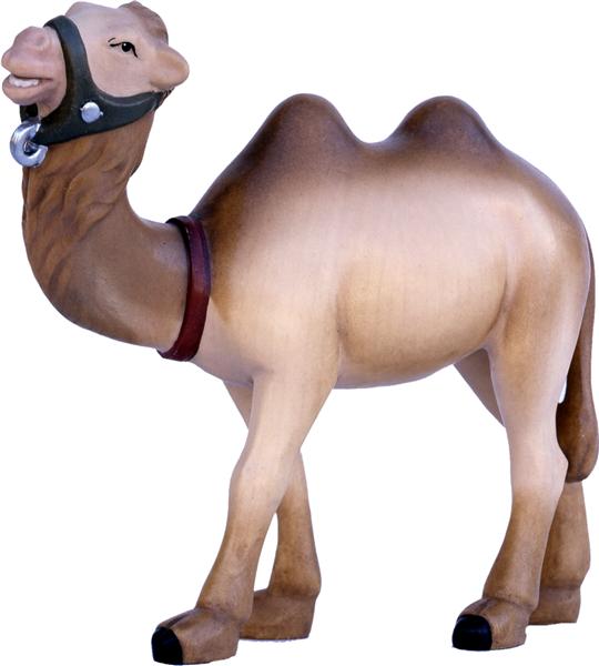 Kamel stehend modern Kamel stehend modern