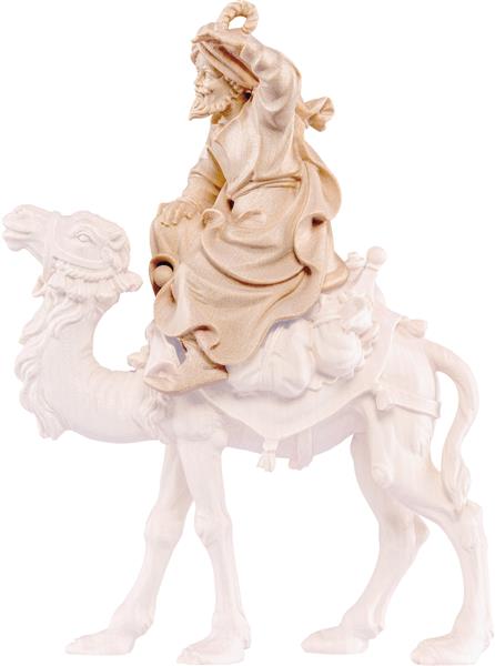 Kamelreiter Kamelreiter