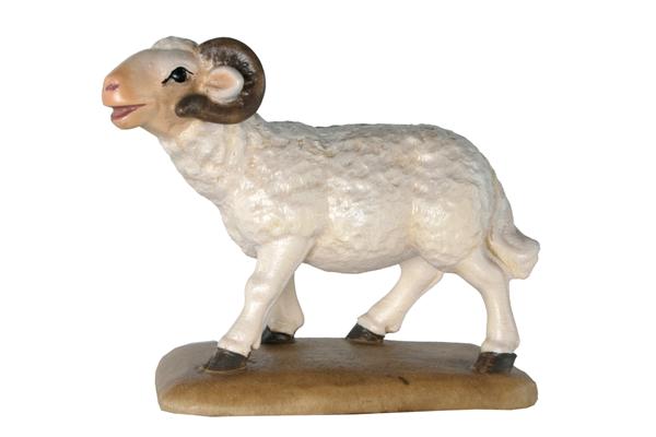 Schafbock Schafbock
