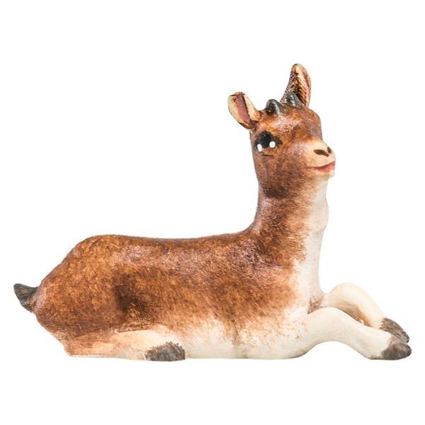 Ziegenkitz liegend Ziegenkitz liegend