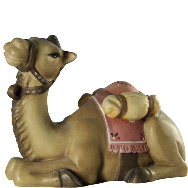 Kamel liegend Kamel liegend