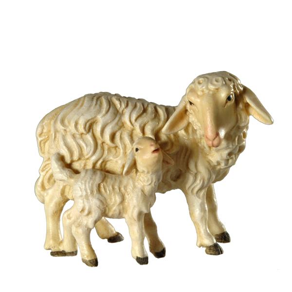 Schaf stehend mit Lamm