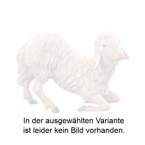 Schaf kniend Schaf kniend