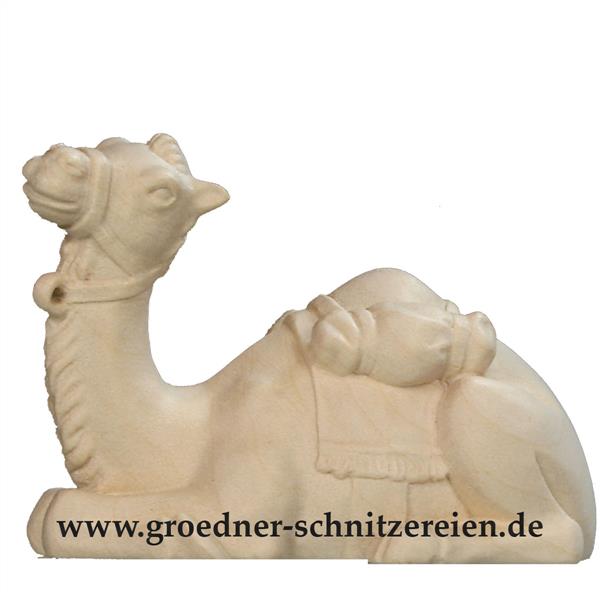 Kamel liegend Kamel liegend