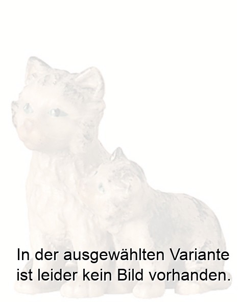Katzenpaar Katzenpaar
