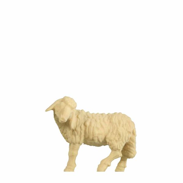 Schaf stehend Kopf links