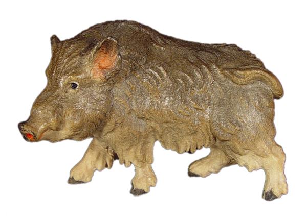 Wildschwein - Keiler in Zirbel