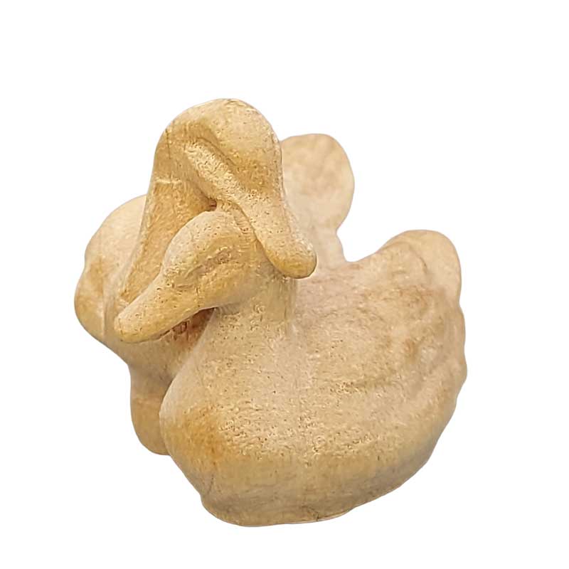 Entengruppe weiß Entengruppe weiß