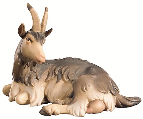 Ziege liegend Ziege liegend