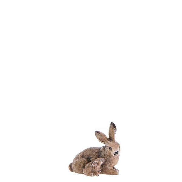 Hase Hase