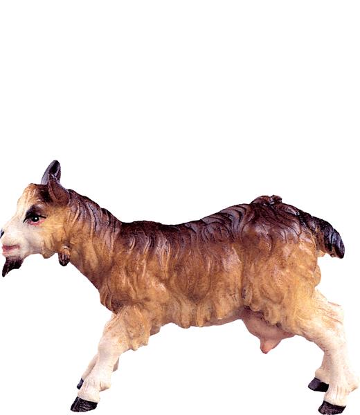 Ziege Ziege