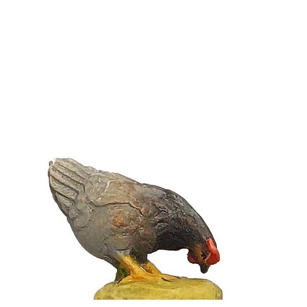 Henne pickend grau-schwarz Henne pickend grau-schwarz