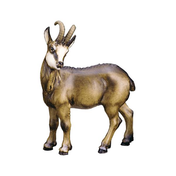 Gemsbock
