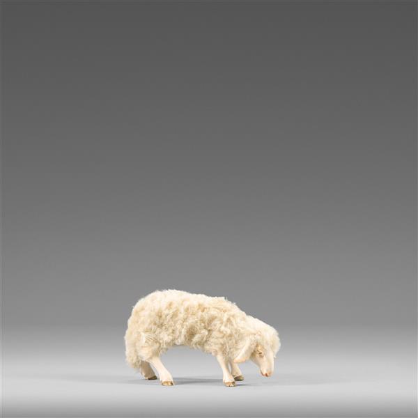 Schaf äsend mit Wolle beige Schaf äsend mit Wolle beige