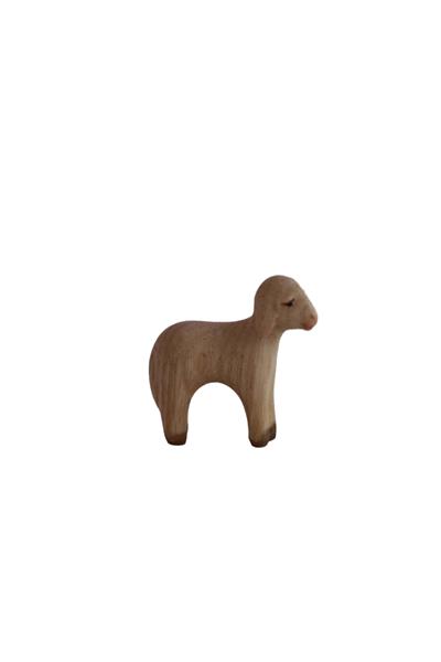 Lamm stehend Lamm stehend