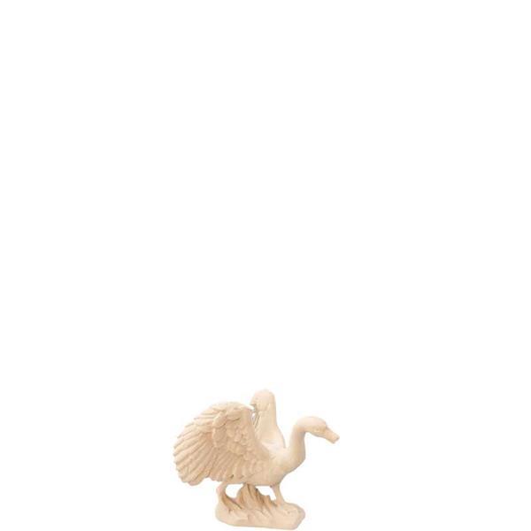 Schwan laufend Schwan laufend