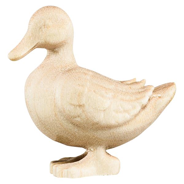 Ente Ente