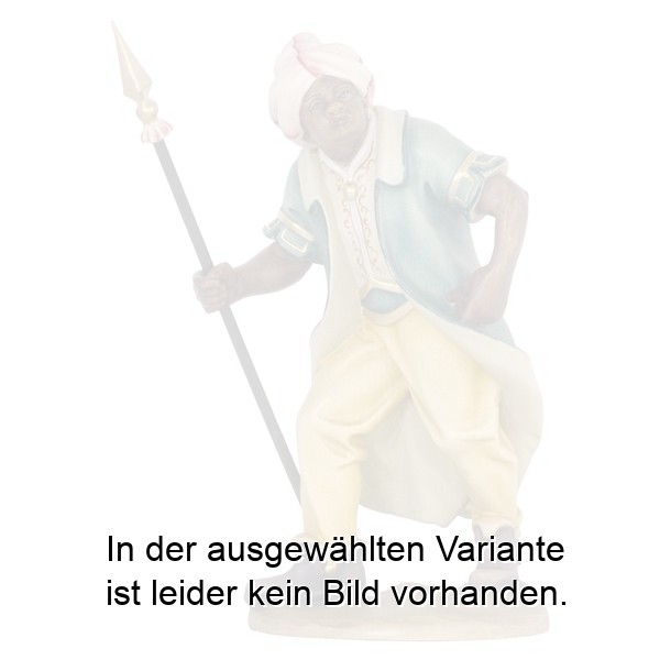 Kameltreiber