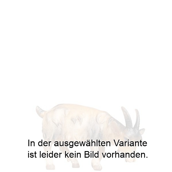 Ziege fressend Ziege fressend