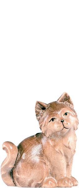 Katze Artis braun