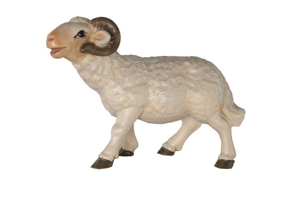 Schafbock