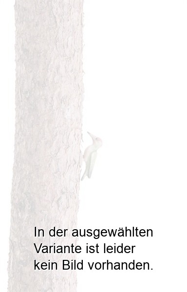 Grünspecht Grünspecht