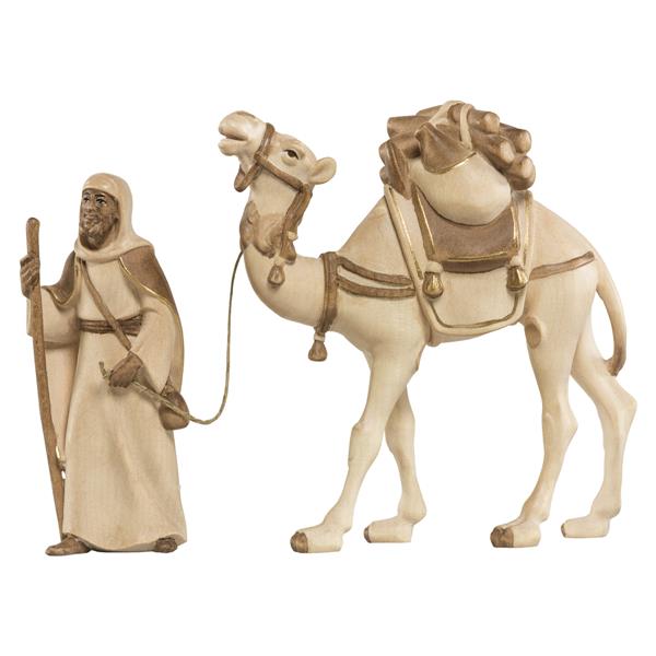 Kamel mit Treiber und Gepäck