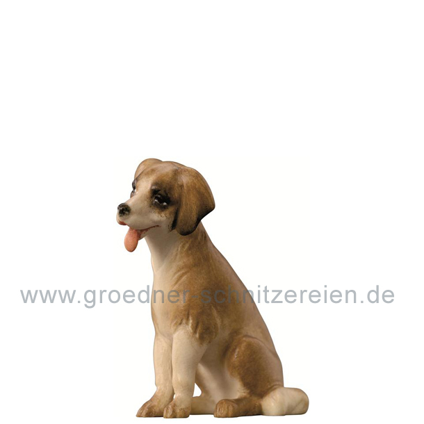 Hund modern Hund modern