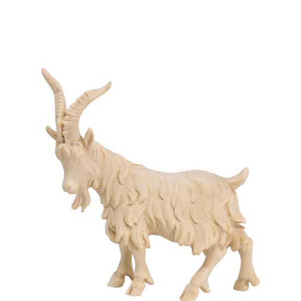 Ziegenbock Ziegenbock