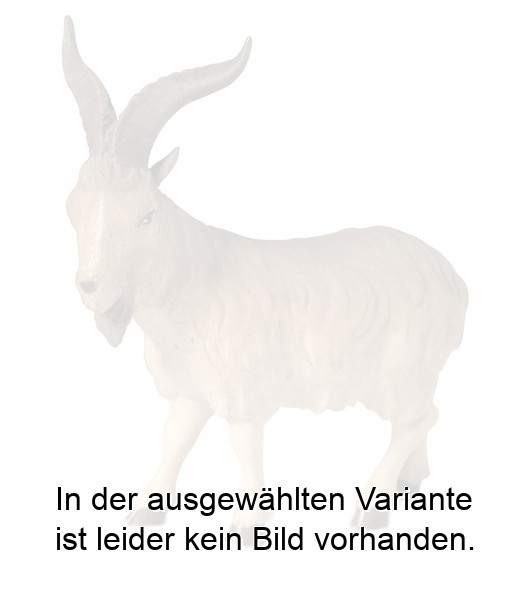 Ziegenbock Ziegenbock