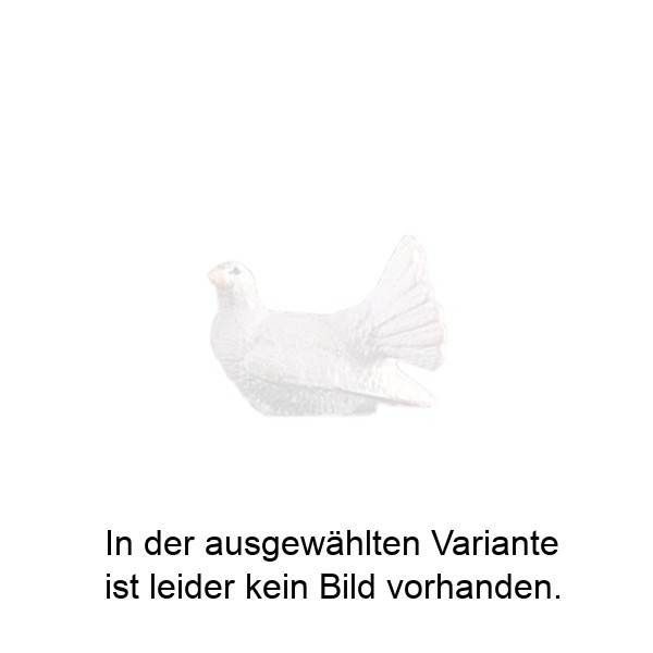 Taube Taube
