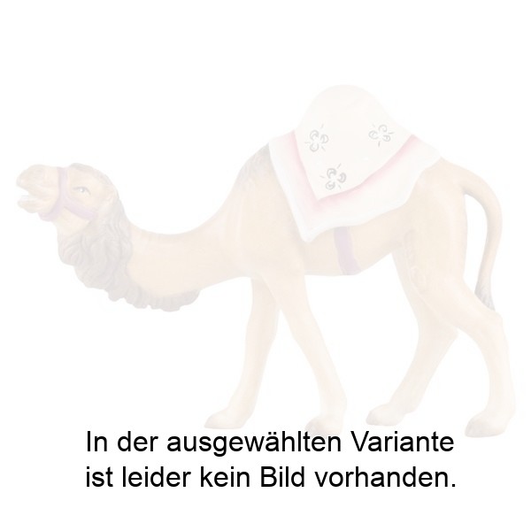 Kamel