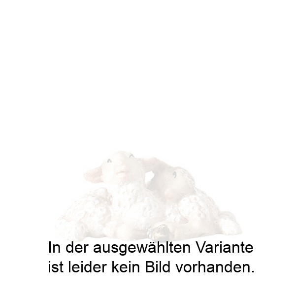 Lämmerpaar liegend