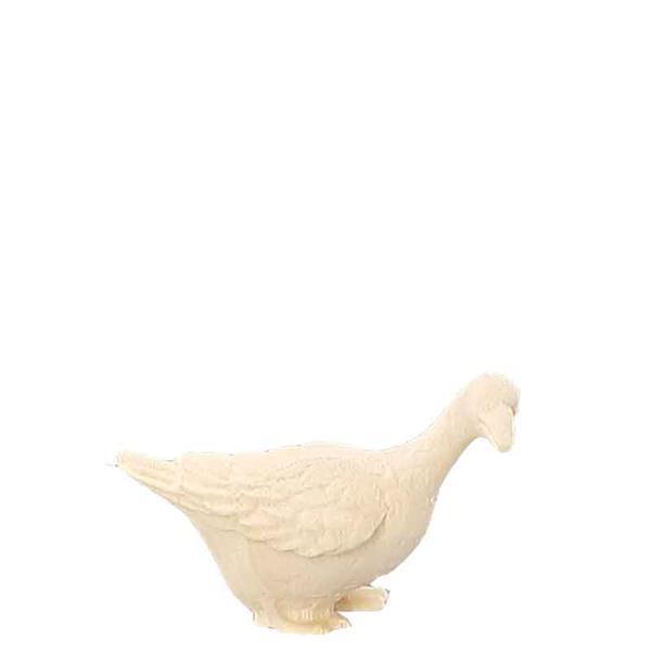 Gans nach links schauend Gans nach links schauend