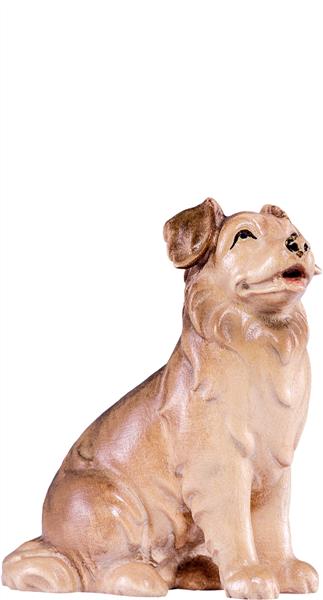 Schäferhund Artis Schäferhund Artis