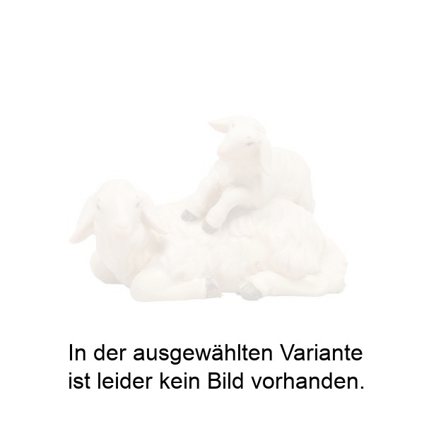 Schaf hockend mit Lamm