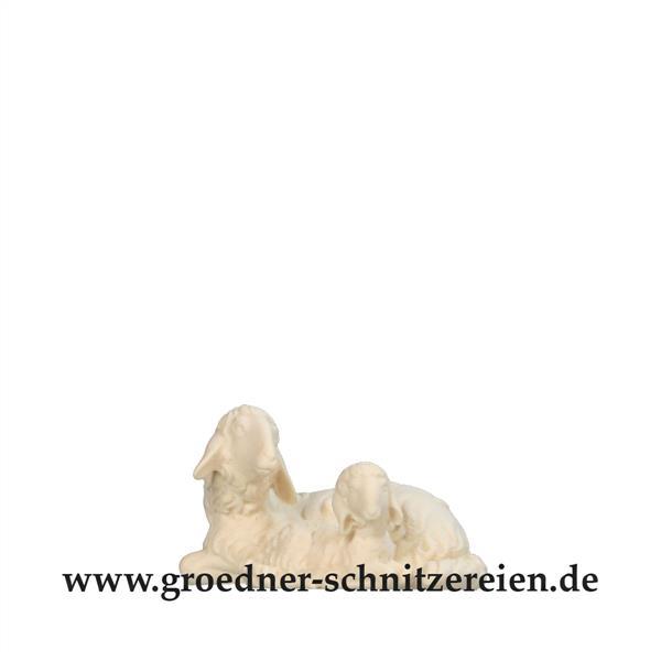 Schafgruppe liegend Schafgruppe liegend