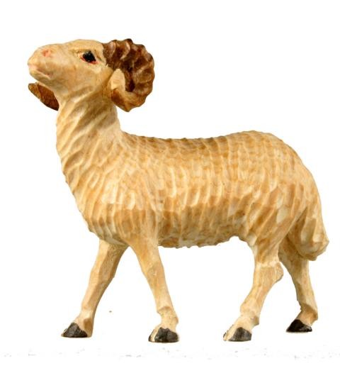 Schafbock Schafbock