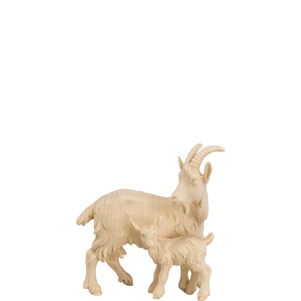 Ziege mit Kitz Ziege mit Kitz