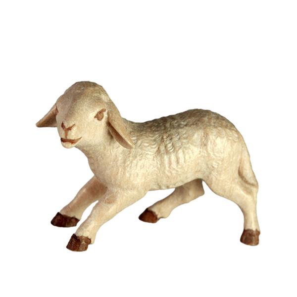 Lamm