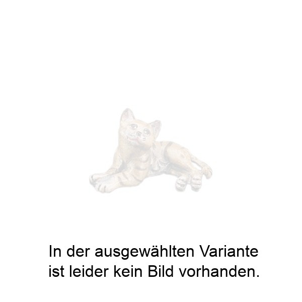 Liegendes Kätzchen